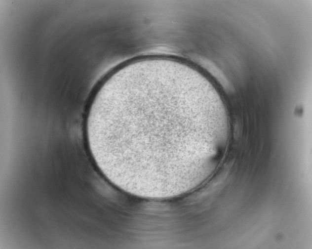 X0000103161356200809192043