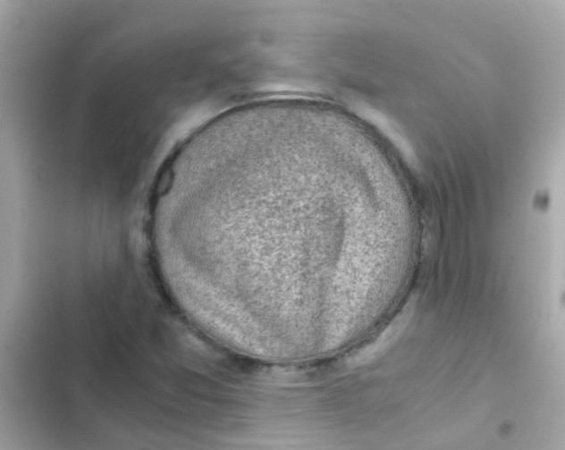 X0000103161357200809192043