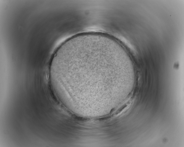X0000103161358200809192043