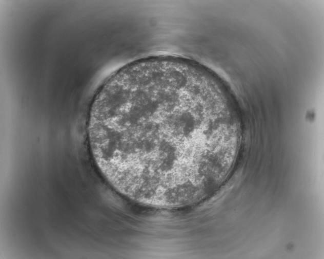 X0000103161359200809192043
