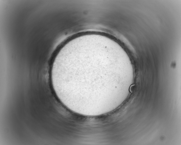 X0000103161360200809192043