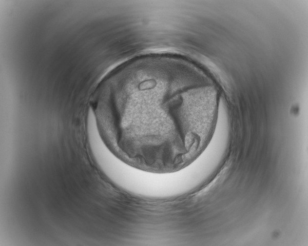 X0000103161361200809192043