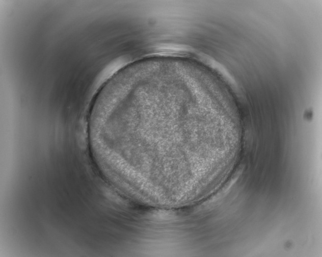 X0000103161362200809192043