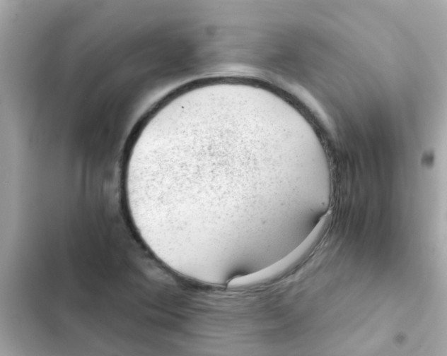 X0000103161364200809192043
