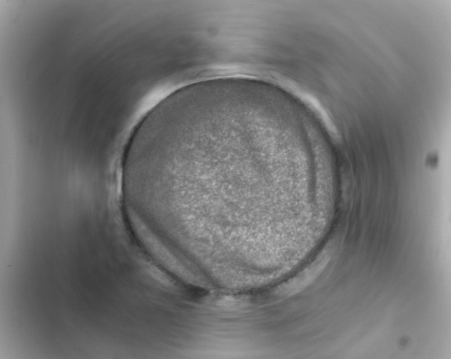 X0000103161365200809192043