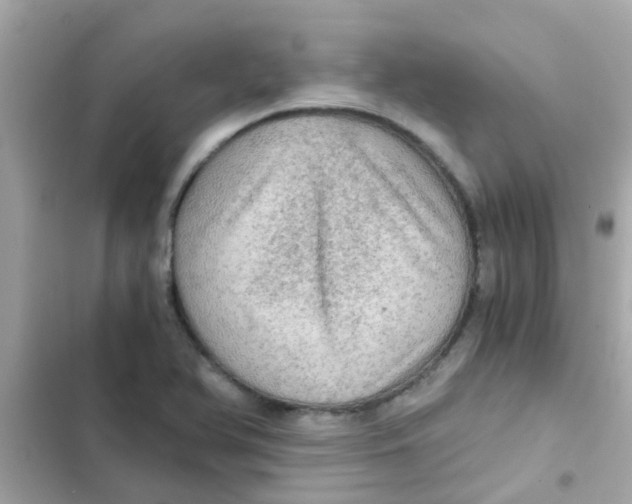 X0000103161366200809192043