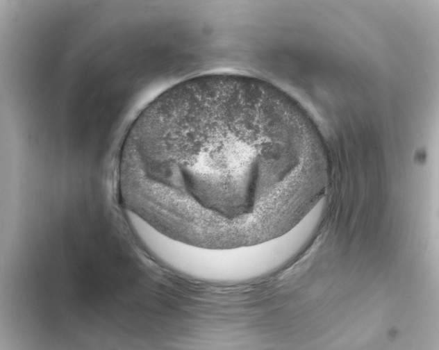 X0000103161367200809192043