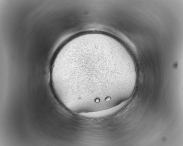 X0000103161368200809192043