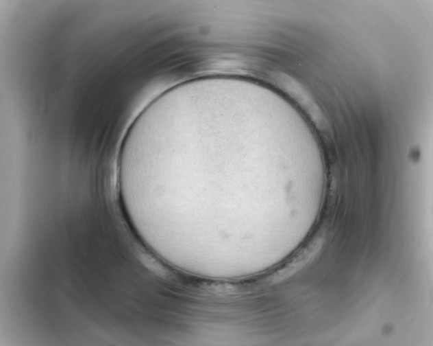 X0000103161370200809192043
