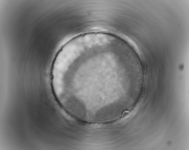 X0000103161373200809192043