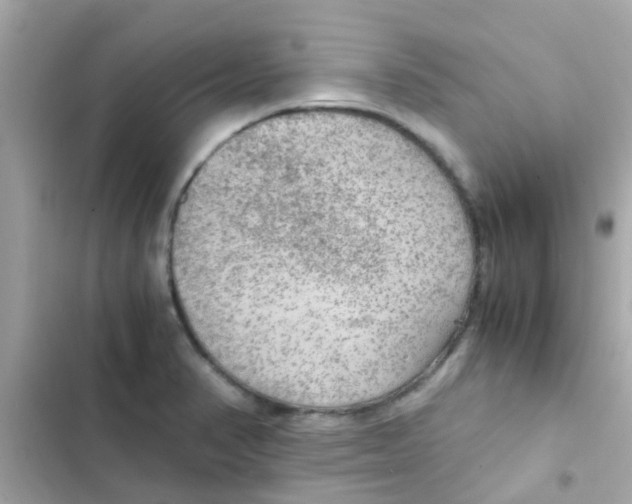 X0000103161374200809192043