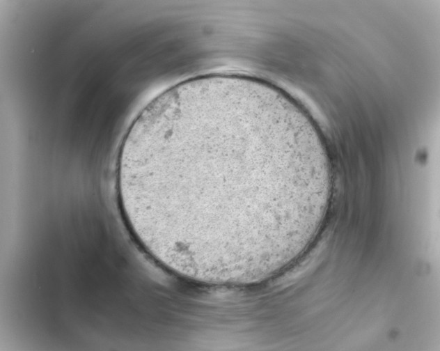 X0000103161375200809192043