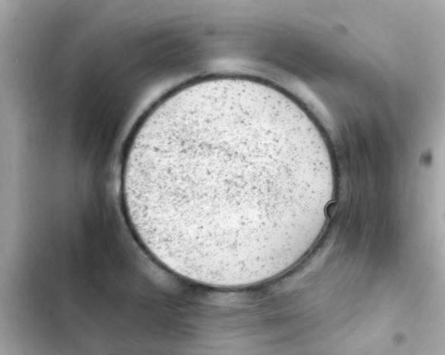 X0000103161376200809192043