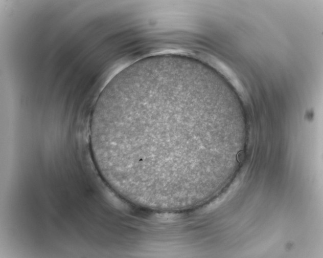 X0000103161377200809192043