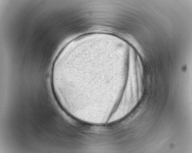 X0000103161379200809192043