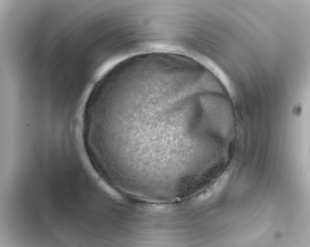 X0000103161381200809192043
