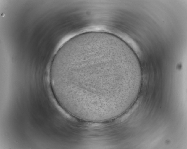 X0000103161382200809192043
