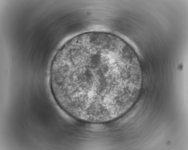 X0000103161383200809192043