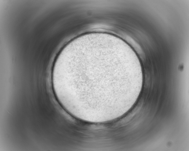 X0000103161384200809192043