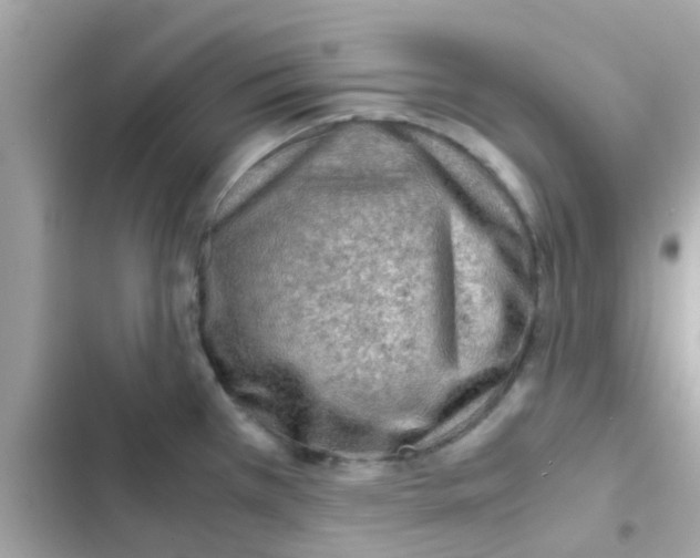 X0000103161385200809192043