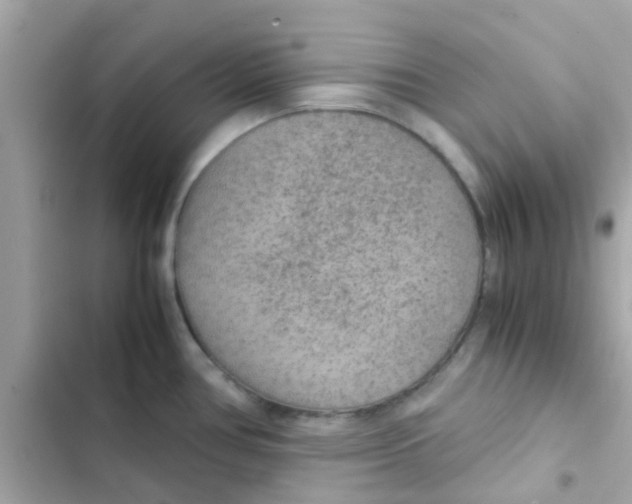 X0000103161386200809192043