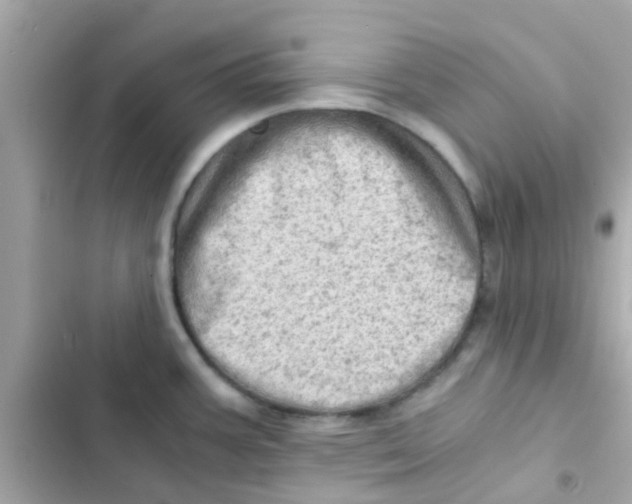 X0000103161387200809192043