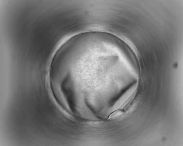 X0000103161389200809192043