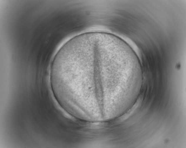 X0000103161390200809192043