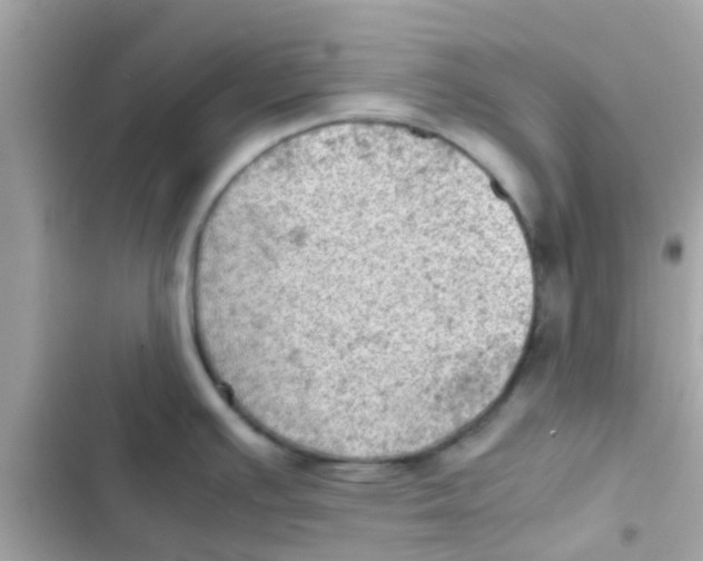 X0000103161391200809192043
