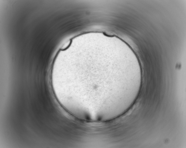 X0000103161392200809192043