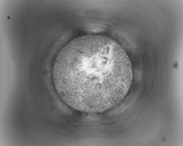 X0000103161393200809192042