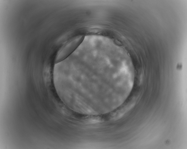 X0000103161394200809192042