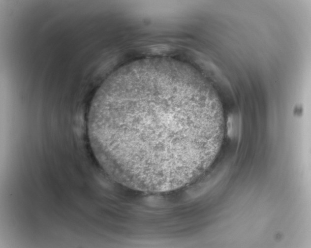 X0000103161395200809192042