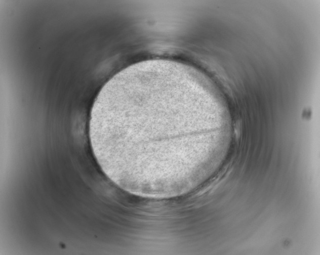 X0000103161396200809192042