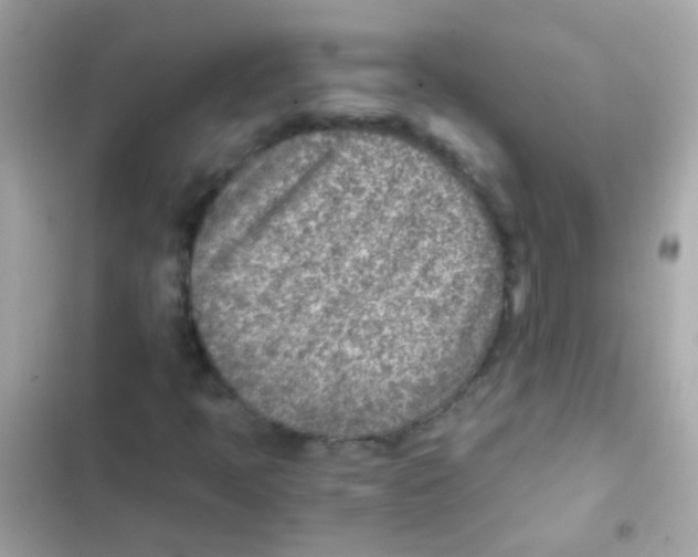 X0000103161397200809192042