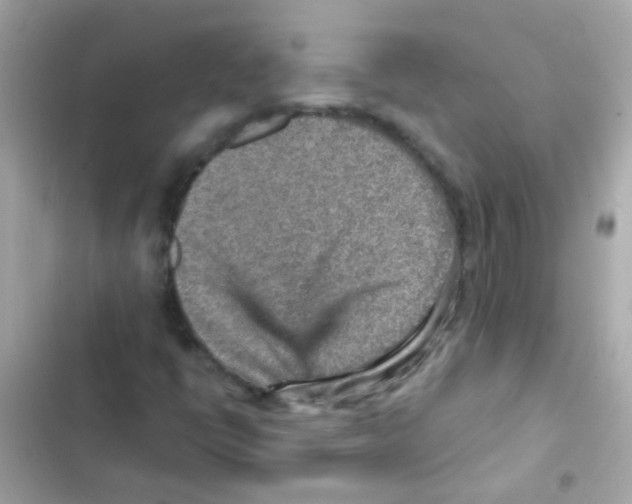 X0000103161398200809192042