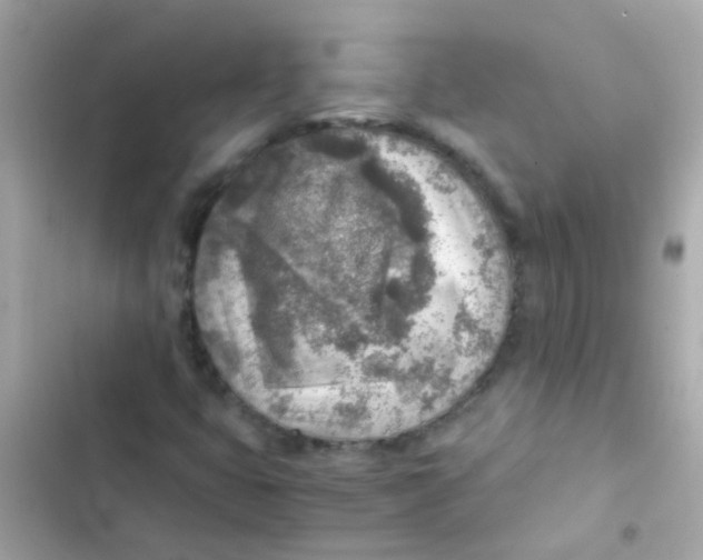 X0000103161399200809192042