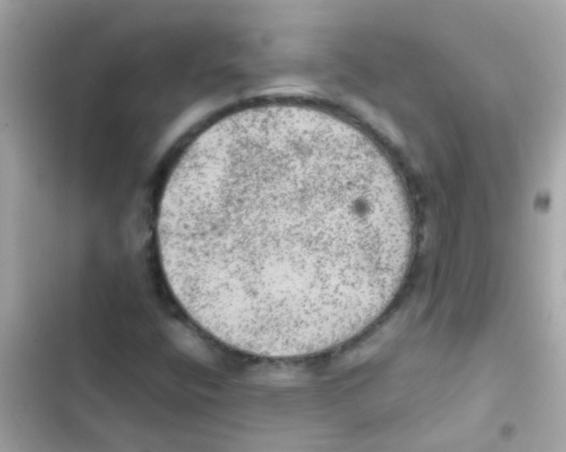 X0000103161400200809192042