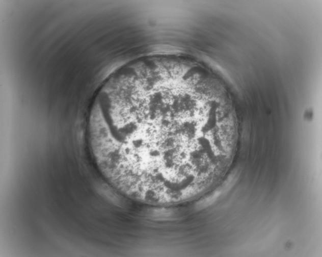 X0000103161401200809192042