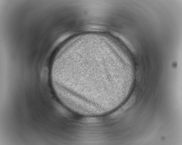 X0000103161402200809192042