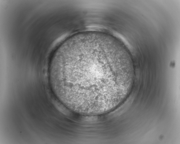 X0000103161403200809192042