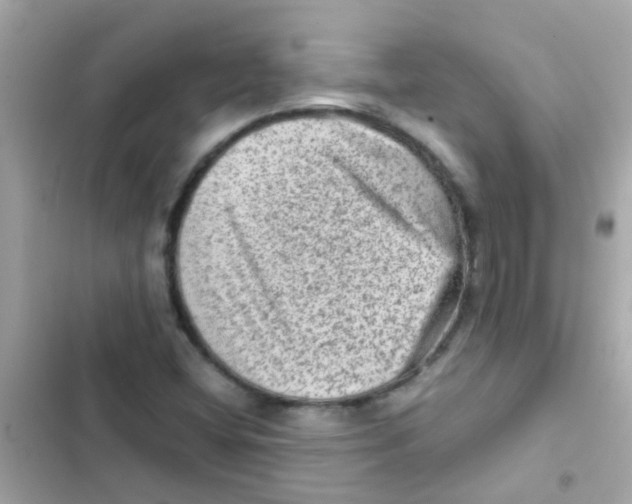 X0000103161404200809192042