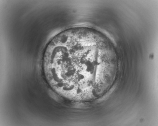 X0000103161405200809192042