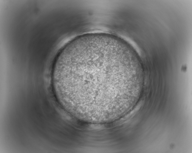 X0000103161407200809192042