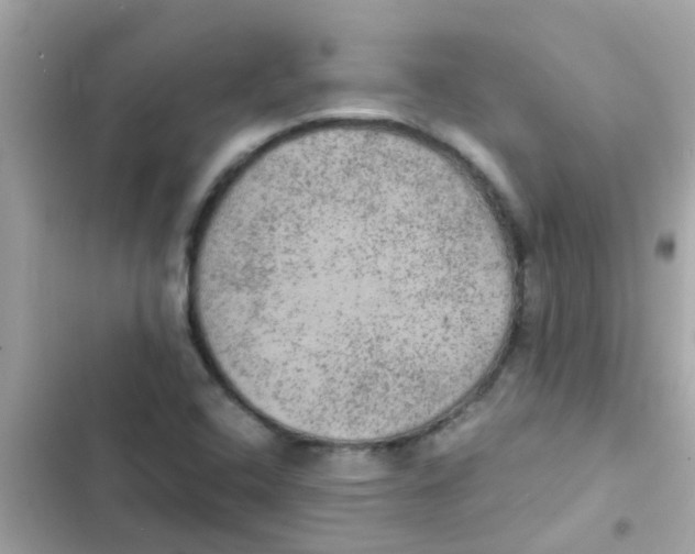 X0000103161408200809192042