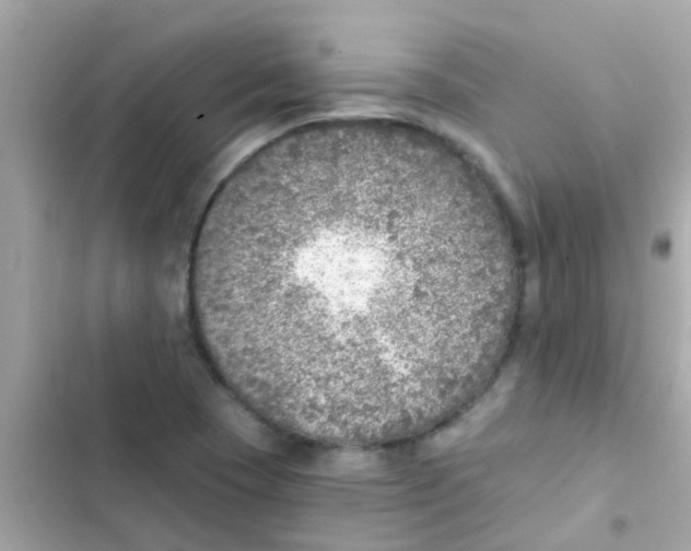 X0000103161409200809192042