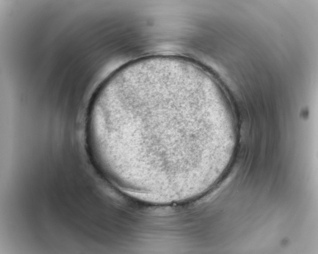 X0000103161410200809192042