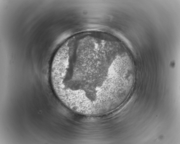 X0000103161411200809192042