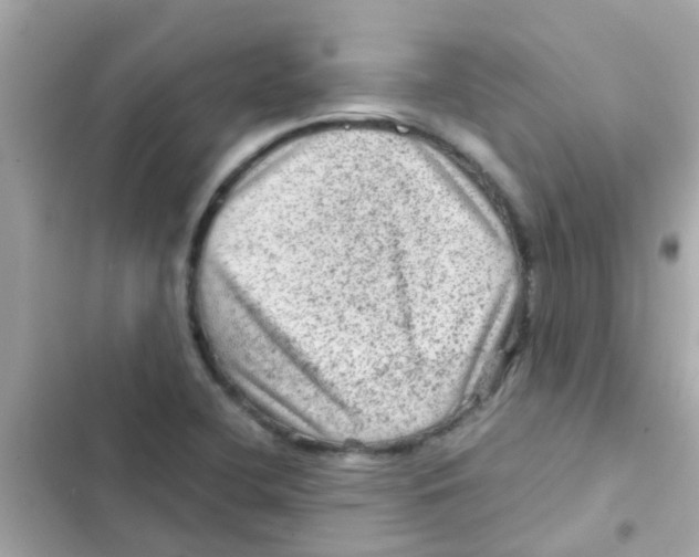 X0000103161412200809192043