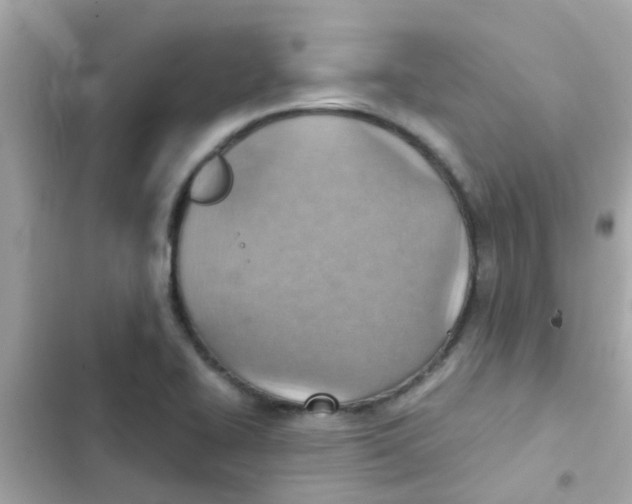 X0000103161414200809192043